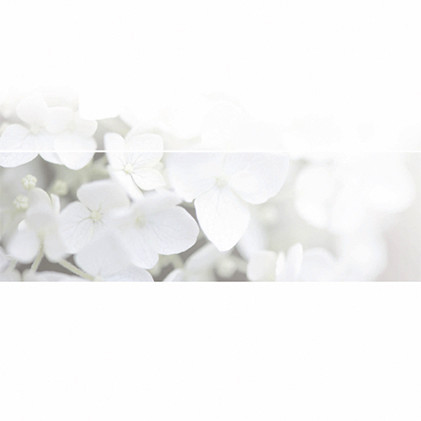 Theme preview